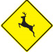 Alert for Animals